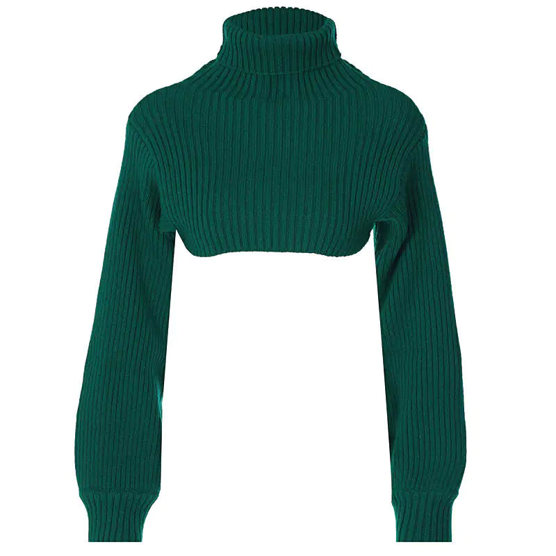 Turtleneck Cropped Sweater