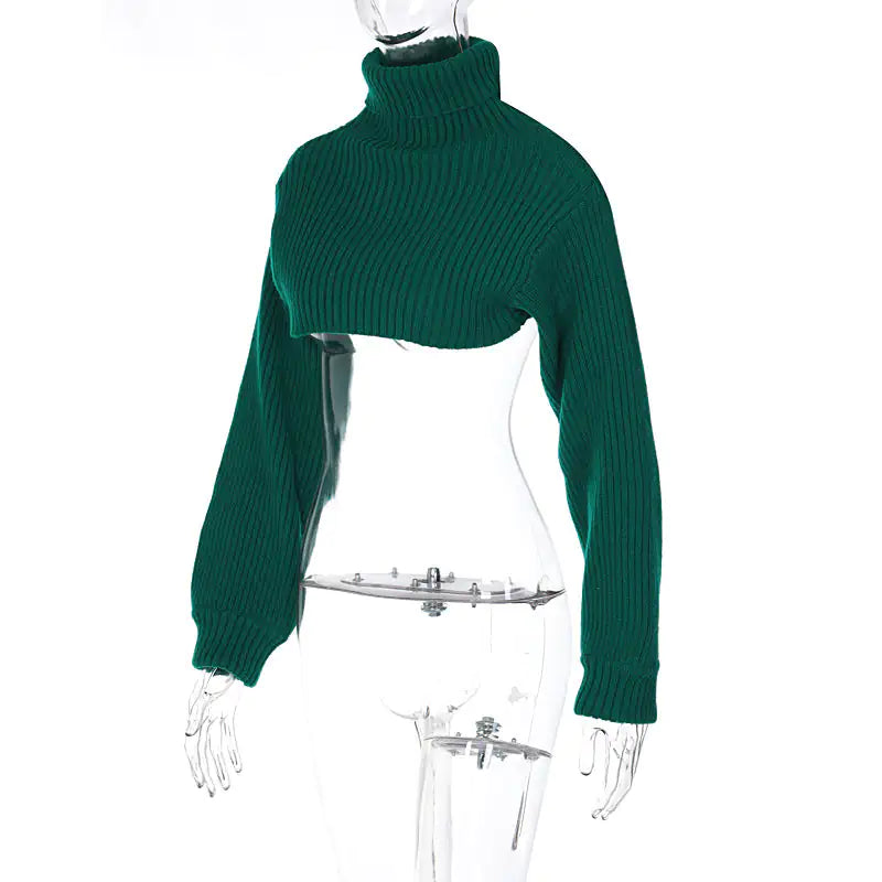 Turtleneck Cropped Sweater