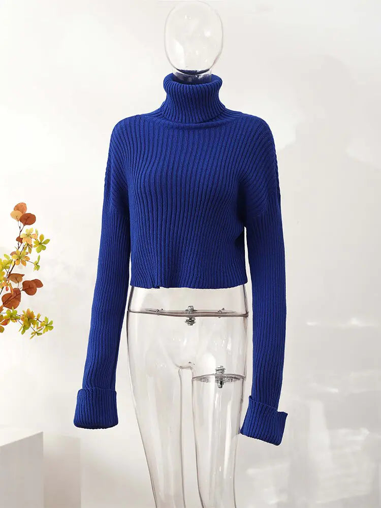 Knit Turtleneck Flare Sleeve Sweater